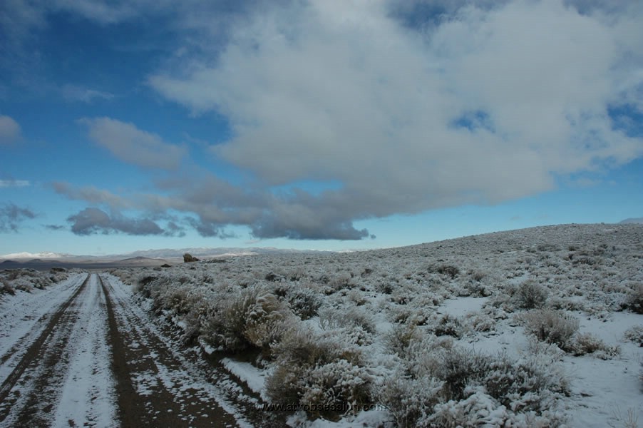 230. The good news..no dust! The bad news...there is no bad news..jpg