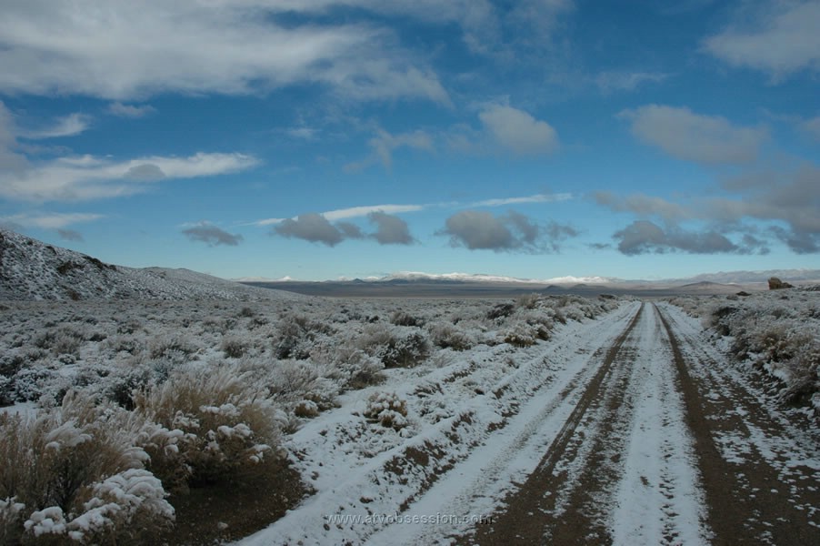 231. Larry takes some more ugly photos..jpg