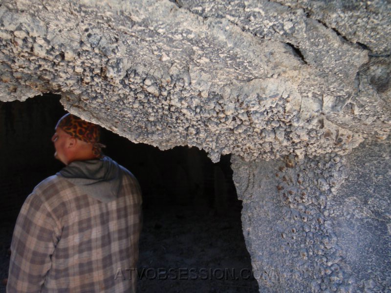 033. They almost looked like barnacles..jpg