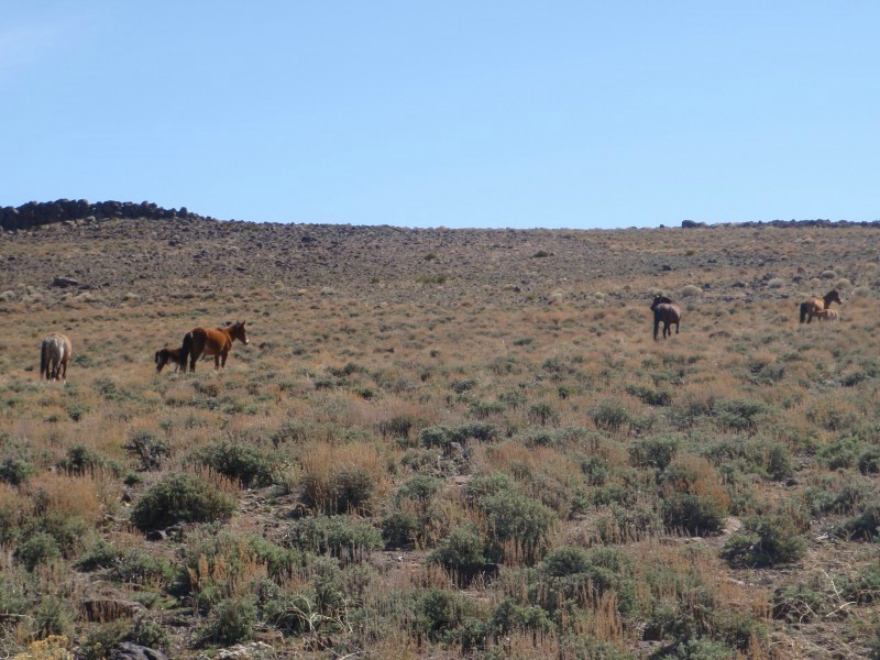 25. They don't seem to care..jpg