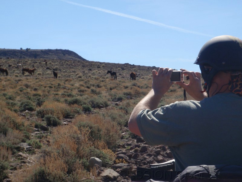 26. Kendo snapping pix..jpg