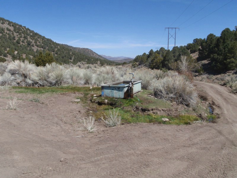 36. Water anyone..jpg