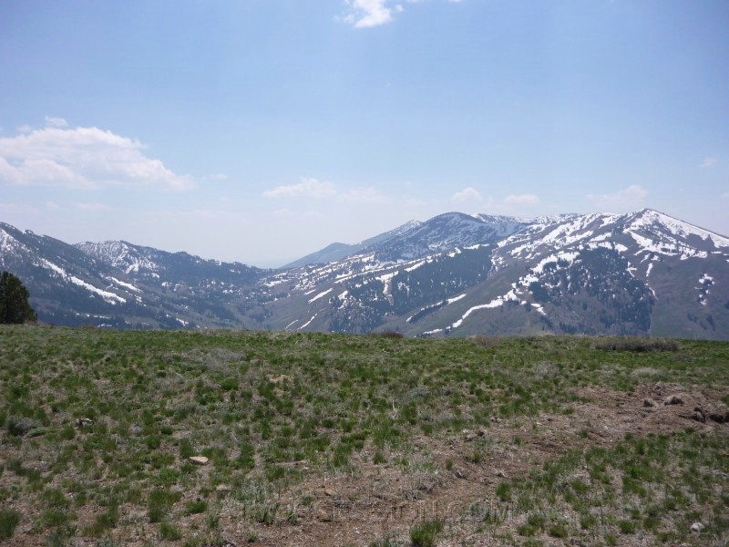 47.Top of Deer Mountian towards Idaho.jpg