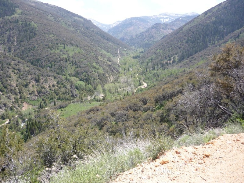 49.Yep, we're going down there.jpg