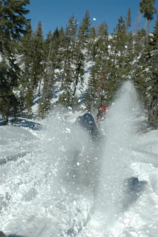 29. Larry Follows Suit and Sprays the Rhino..jpg