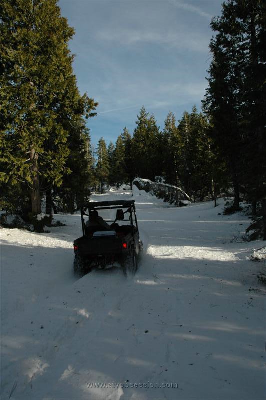 52. Go Rhino Go!.jpg