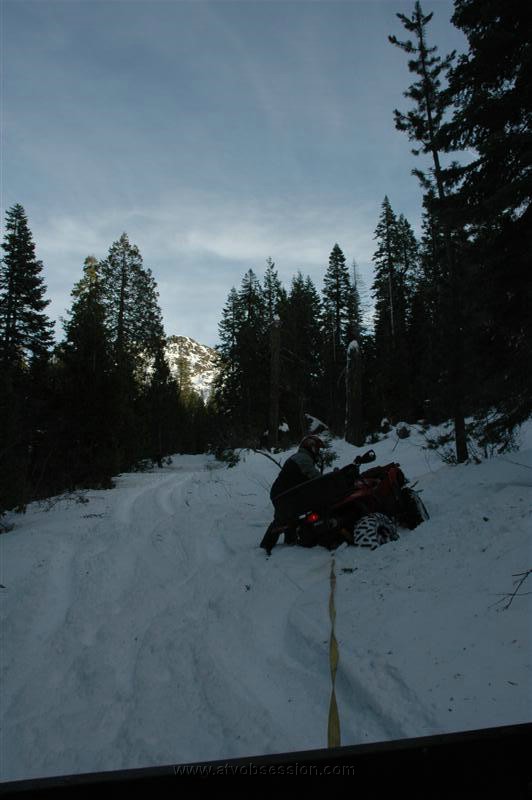 56. A Quick Tug With The Rhino....jpg