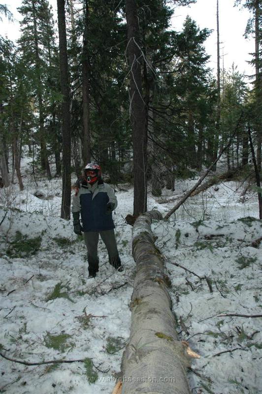 64. Larry Sizes It Up, and Before Emily Can Snap A Shot....jpg