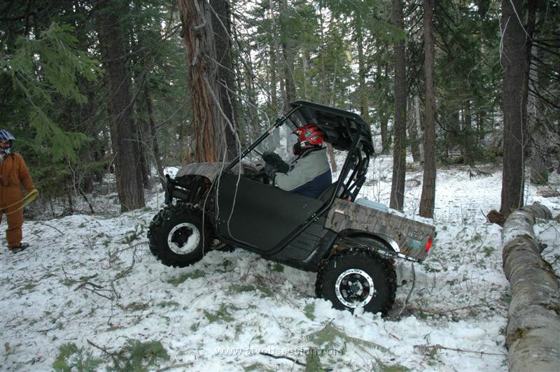 70. Up and Over The Log..jpg